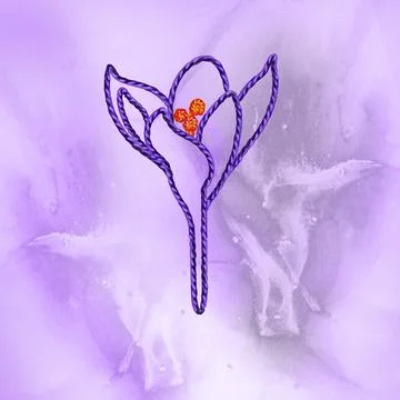 Postcard with crocus flower as symbol of spring. Stock Illustration