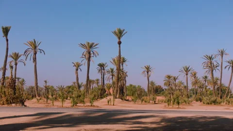 Postcard from desert Stock Footage 161416033