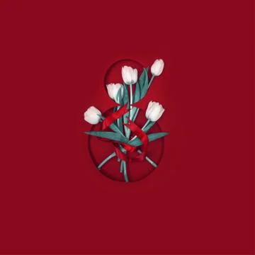 Postcard for The Eighth of March. Five white tulips in number eight. Tied wit Stockfoto's