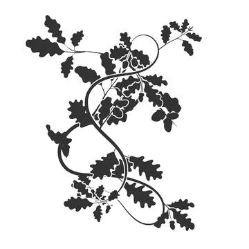 A postcard element a template for an oak ornament. Stock Illustration