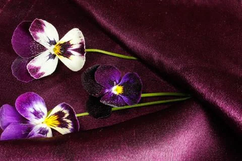 Postcard from pansies Stock Photos