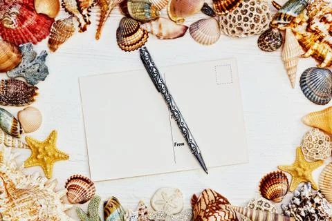 Postcard with a pen with a frame of sea shells Stock Photos