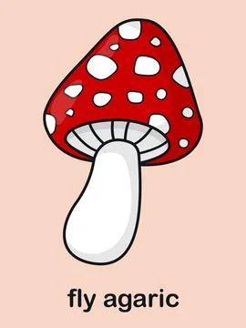Postcard with red fly agaric. Vector illustration 스톡 일러스트