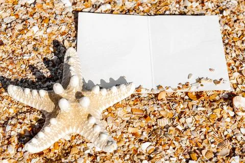 Postcard in sea shells frame 스톡 사진