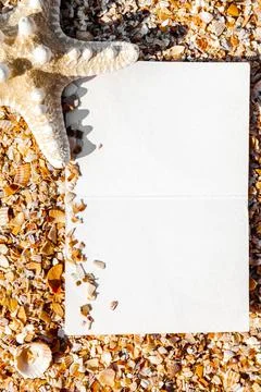 Postcard in sea shells frame Stock-Fotos