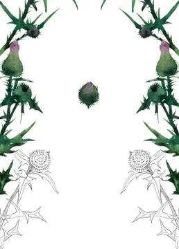 Postcard template Stock Illustration