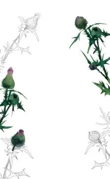 Postcard template Stock Illustration