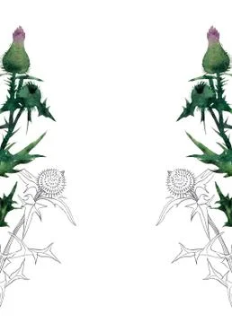 Postcard template Stock Illustration