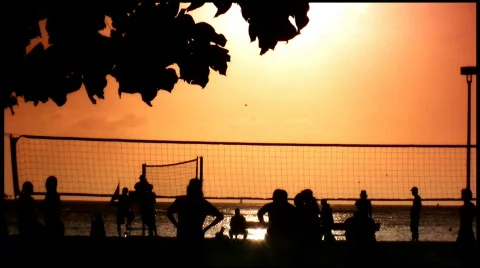 Postcards From Hawaii Stock Footage