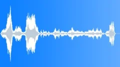 PostCocrtCrwd_YellsHootsSound Effect