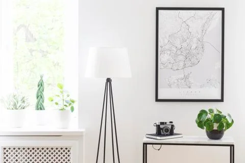 Poster above table with camera and plant next to lamp in living room interior 写真素材