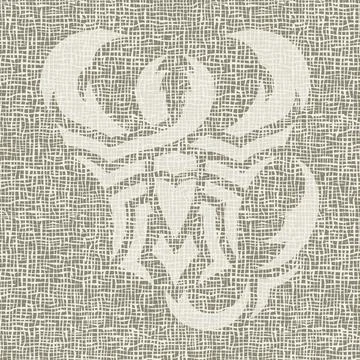 Poster with an abstract image of a scorpion.  Stock Illustration