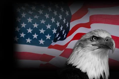 Poster American flag with eagle Foto stock