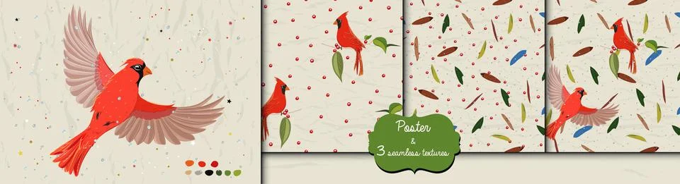Poster and three seamless patterns from collection with blue jay and red Stock Illustration