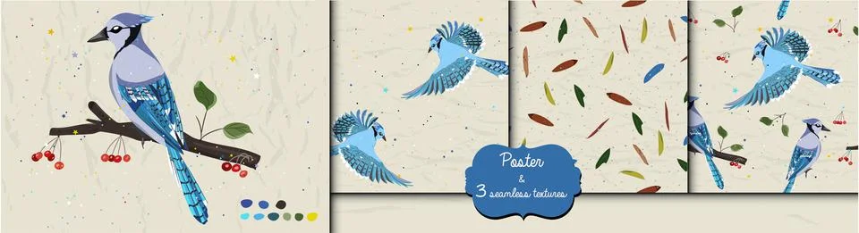 Poster and three seamless patterns from collection with blue jay and red Stock Illustration
