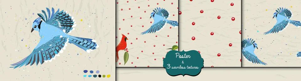 Poster and three seamless patterns from collection with blue jay and red Stock Illustration