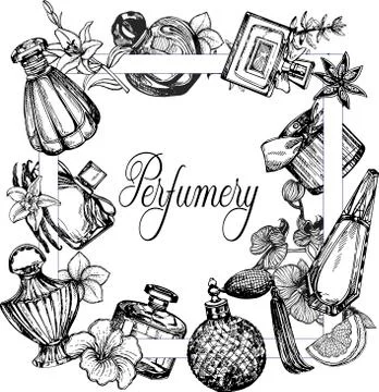 Poster / card / composition of hand drawn sketch style bottles of perfume and Stock Illustration