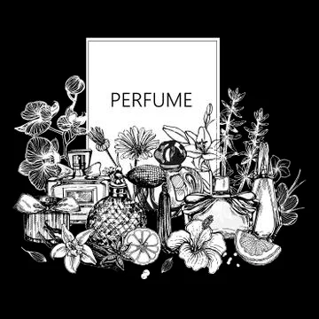 Poster / card / composition of hand drawn sketch style bottles of perfume and Stock Illustration