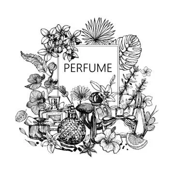 Poster / card / composition of hand drawn sketch style bottles of perfume and Stock Illustration