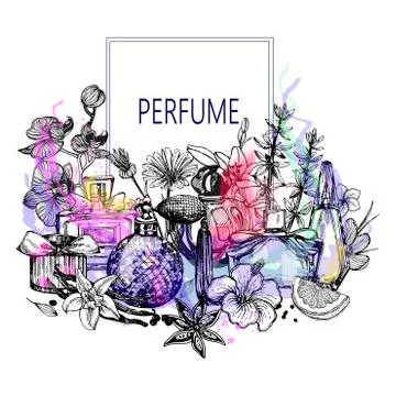 Poster / card / composition of hand drawn sketch style colored bottles of per Stock Illustration