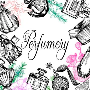 Poster / card / composition of hand drawn sketch style colored bottles of per Stock Illustration