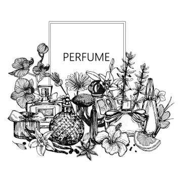 Poster / card / composition of hand drawn sketch style bottles of perfume and Stock Illustration