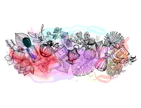 Poster / card / composition of hand drawn sketch style colored bottles of per Stock Illustration