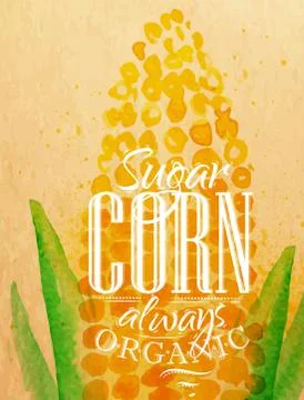 Poster corn Stock Illustration