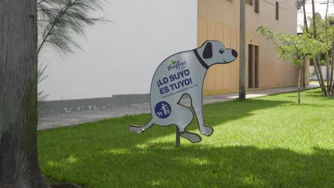 A poster of a dog sitting doing his business as a warning Vidéo 150678518