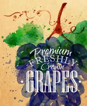 Poster grapes Stock Illustration