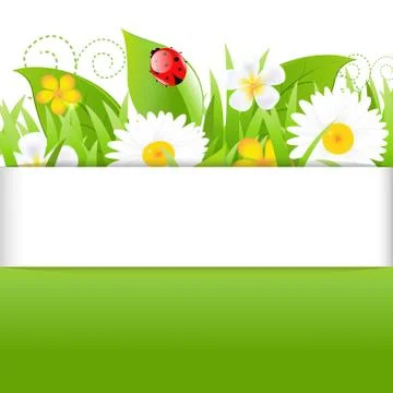 Poster with grass leafs and ladybug Stock Illustration