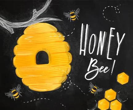 Poster honey bee chalk Stock Illustration