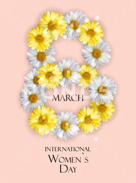 Daisy flowers on the greeting card for womens day Vector Image