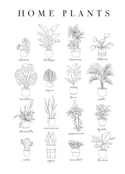 Poster linear home plants Stock Illustration