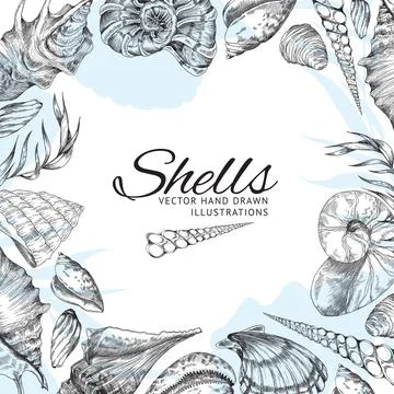 Poster or banner template with hand drawn ocean shells vector illustration. Stock Illustration