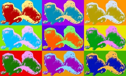 Poster with pygmy monkeys Stock Illustration