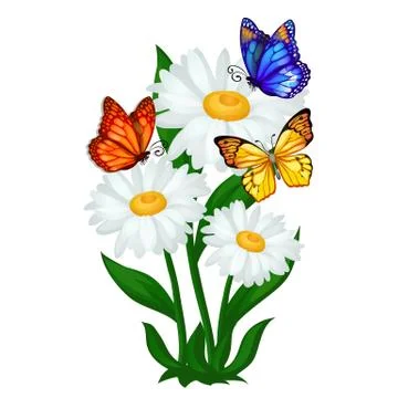 Poster sketch on a summer theme with chamomile flowers and colorful butterflies Stock Illustration