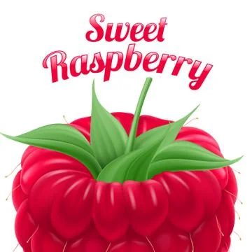 Poster Sweet Raspberry Illustrazione stock