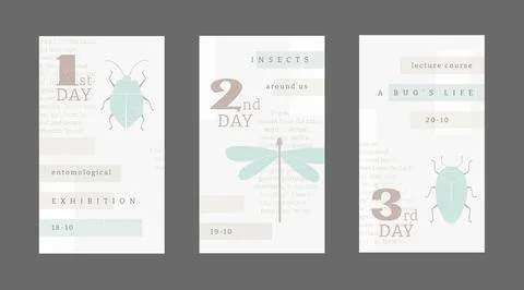 Poster template with Bug, dragonfly, ladybug. Set of vector banners with insects 스톡 일러스트