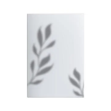 Poster With Tree Leaves Shadow Hang On Wall Vector Stock Illustration