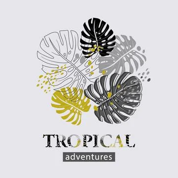 Poster of tropical leaves and a pattern in monochrome colors monstera leaves Stock Illustration