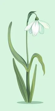 Posters for the spring holiday Stock Illustration