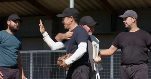 Postgame cooling off, Diverse baseball team donning gloves, high fiving, walking Stock Footage 340068578