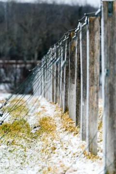 Posts and wire to hold shade for Ginseng in Wisconsin Stock Photos