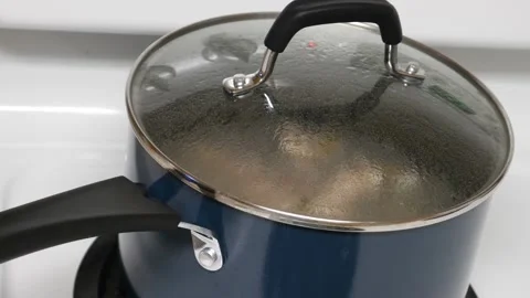 Pot Boiling, Lid On Stock Footage 172260064