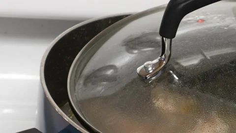 Pot Boiling With the Lid Partially Covered Stock Footage 172260086