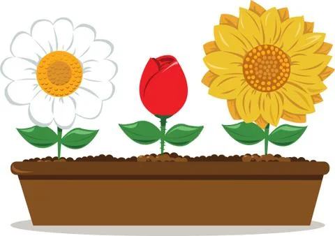 Pot with different flowers Stock Illustration