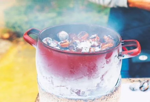 Pot filled with a chestnuts Stock Photos