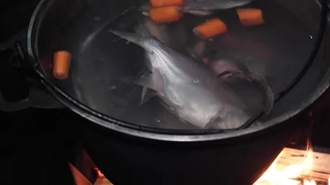 Pot on fire. Fish soup. Stock Footage 165048780