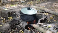 https://images.pond5.com/pot-fire-preparing-and-cooking-footage-143873330_iconm.jpeg